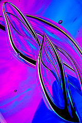 photo "ESPIRITUAL"
