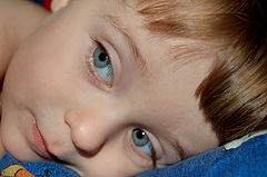 photo "I woke up already"