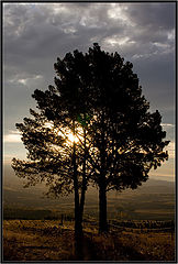 photo "***"