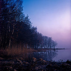 photo "***"