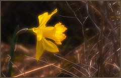 фото "Сила света"