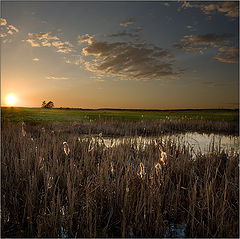 photo "***"