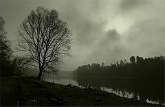 photo "Presentiment of spring"