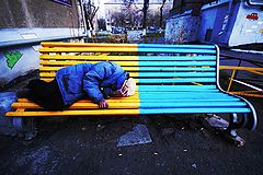 фото "Жизнь на яркой стороне"
