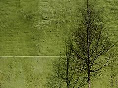 photo "***"