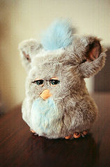 фото "Furbi"