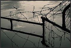 photo "In captivity"