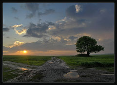 photo "*****"