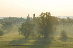 photo "Sweet home Sachsen-Anhalt"