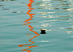 фото "Reflection of faith"