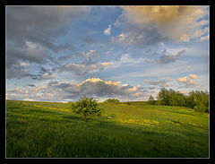 photo "Pastel"
