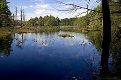 photo "Neck Lake"