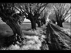 photo "* * *"
