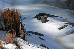фото "У реки"
