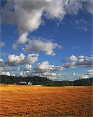 photo "sky and earth"