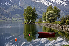 photo "Peace"