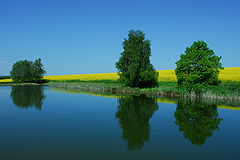 фото "Sweet home Sachsen-Anhalt"