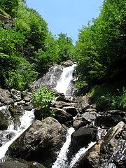 photo "Dairy waterfalls"