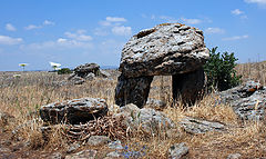 photo "In the world of domens."