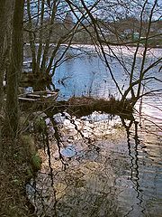 photo "***"