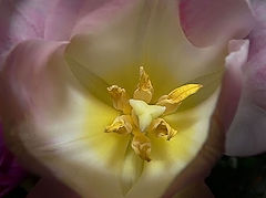 фото "///"