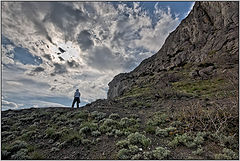 photo "thorny path"