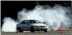 photo "Catch My Drift?"