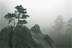 photo "***"