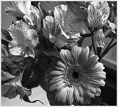 photo "~~~"