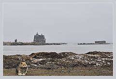 фото "У самого Белого моря"