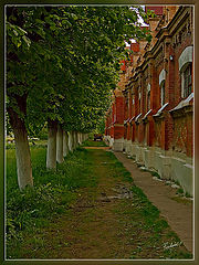 photo "The avenue"