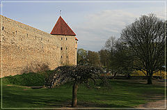 photo "Spring In Old Tallinn"