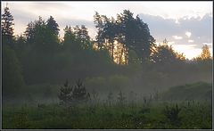 photo "Leisurely walk of dreams..."