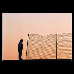 фото "freedom"