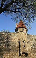 photo "Spring In Old Tallinn 2"