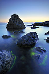фото "*"