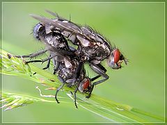 фото "весенние мотивы"