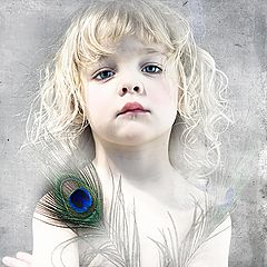 фото "The Feathers"