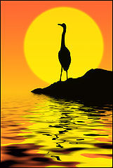 photo "Sunset"