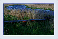 photo "***"