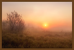 фото "###"