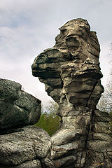 photo "One from Seven Brothers"