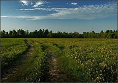 photo "Spring evening"