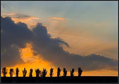 photo "Guards"