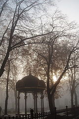 photo "***"
