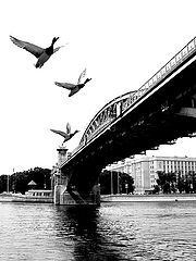 фото "полет"