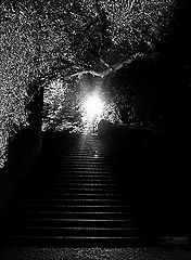 фото "Hочной лестница"