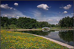 photo "Bridge"