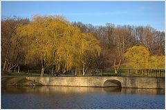 photo "Autumn colors of early spring"