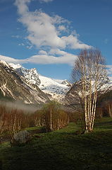photo "***"